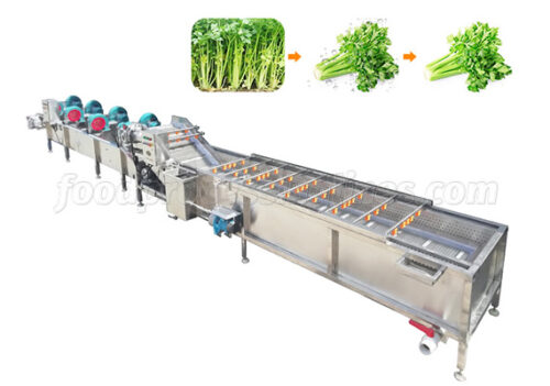 clean vegetable processing line