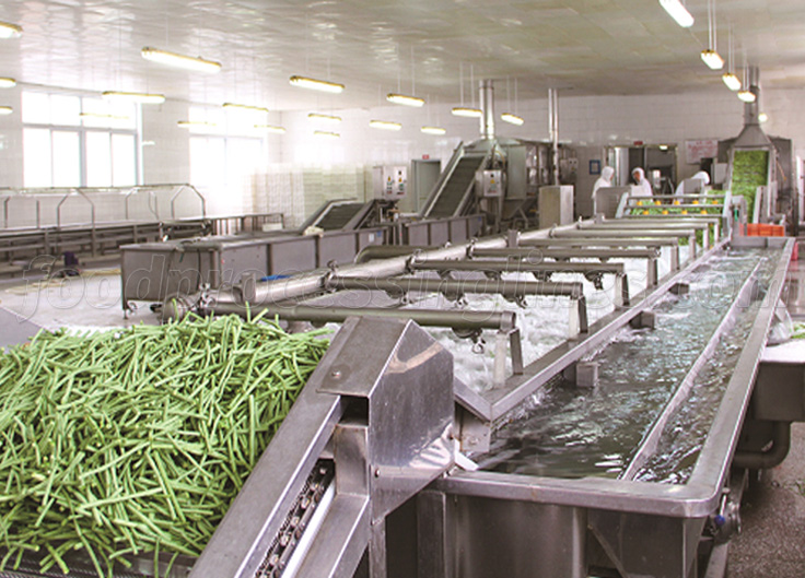 cost of vegetable processing plant