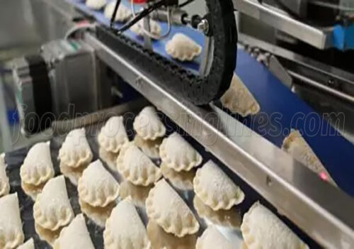 dumpling production line