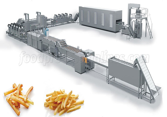 french fries processing plant