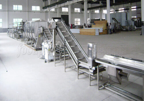 frozen fruit production line