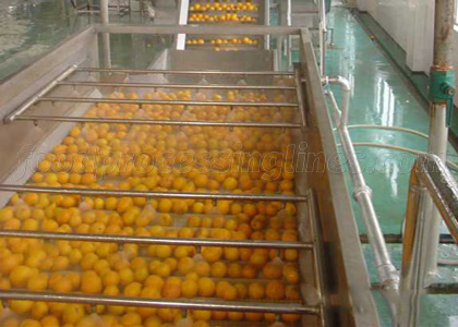 fruit cleaning process