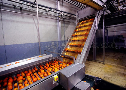 fruit conveying process