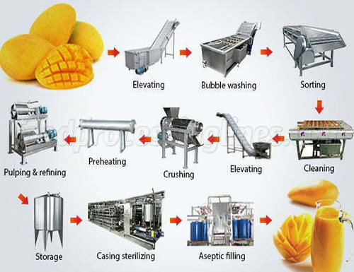 mango fruit juice manufacturing line