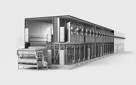 tunnel quick freezer
